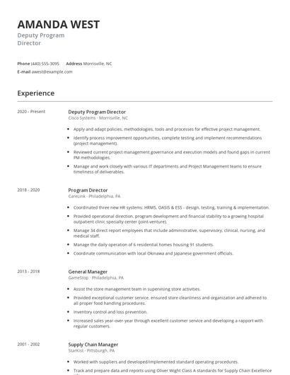 Deputy Program Director Resume
