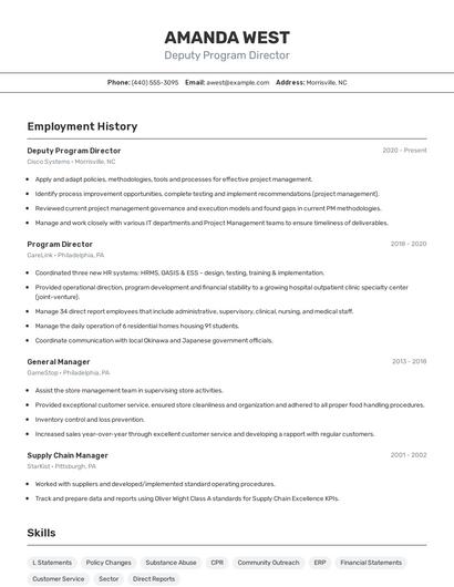 Deputy Program Director Resume