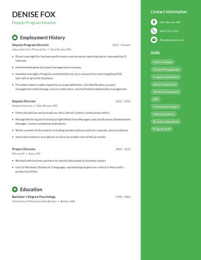 Deputy Program Director Resume