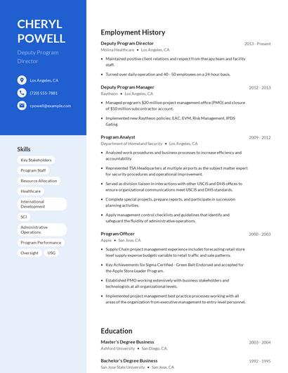 Deputy Program Director Resume