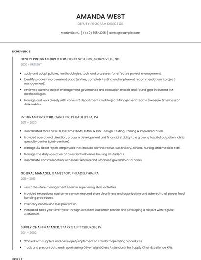 Deputy Program Director Resume