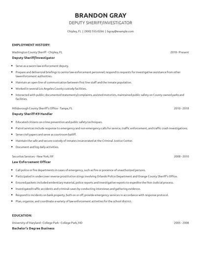 Deputy Sheriff/Investigator Resume