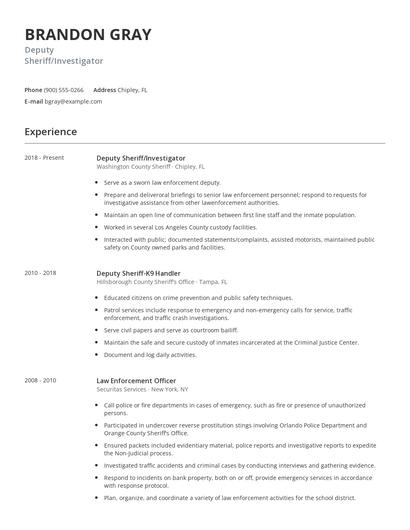 Deputy Sheriff/Investigator Resume