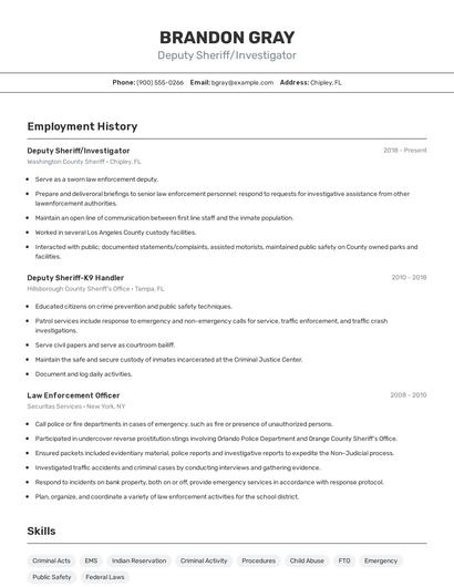 Deputy Sheriff/Investigator Resume