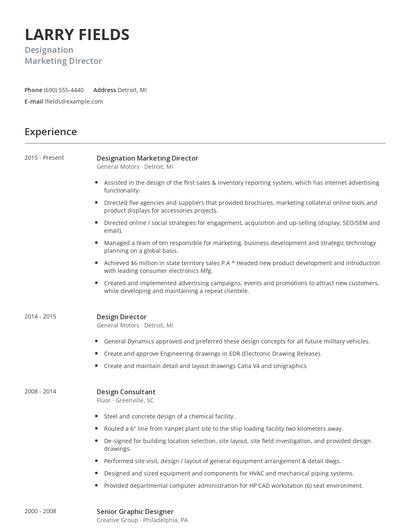 Designation Marketing Director Resume