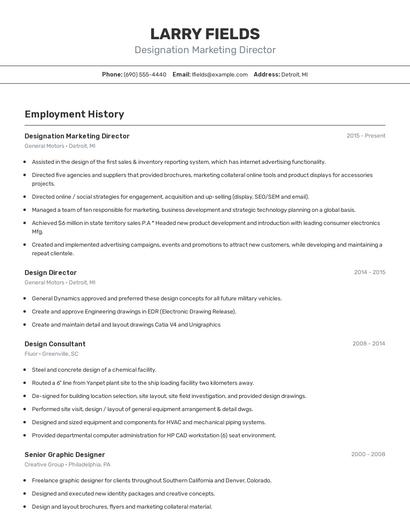 Designation Marketing Director Resume