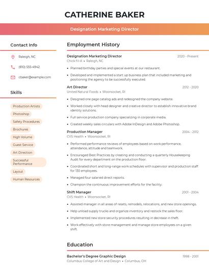 Designation Marketing Director Resume