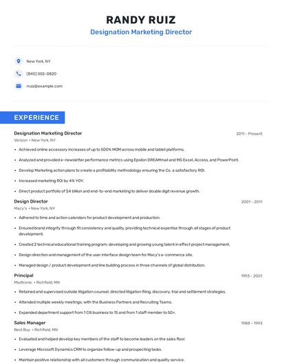 Designation Marketing Director Resume