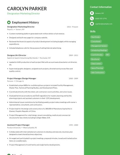 Designation Marketing Director Resume