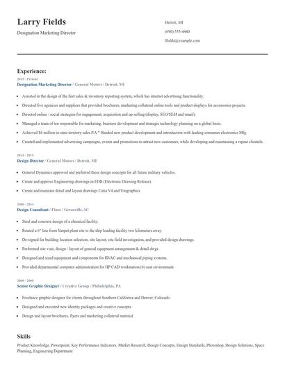 Designation Marketing Director Resume