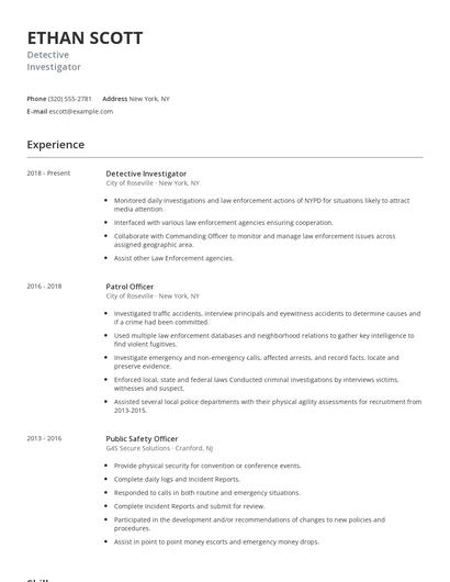 Detective Investigator Resume