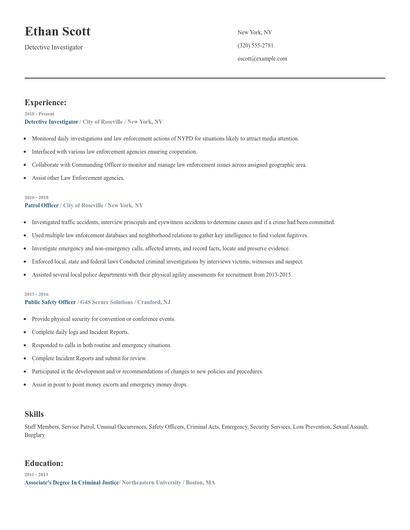 Detective Investigator Resume