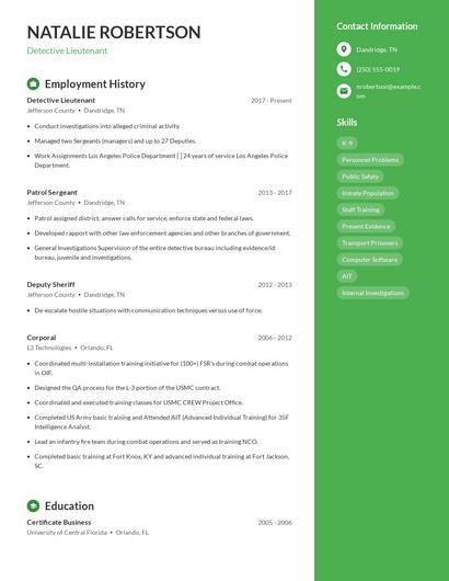 Detective Lieutenant Resume