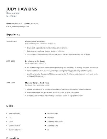 Development Mechanic Resume
