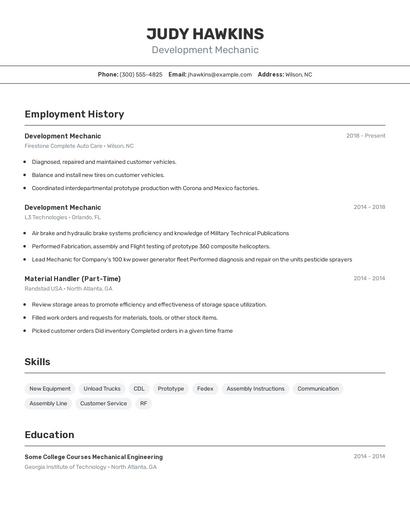 Development Mechanic Resume