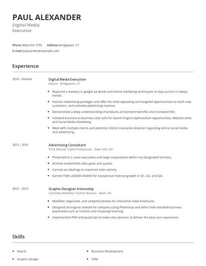 Digital Media Executive Resume