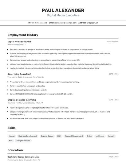 Digital Media Executive Resume