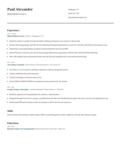 Digital Media Executive Resume