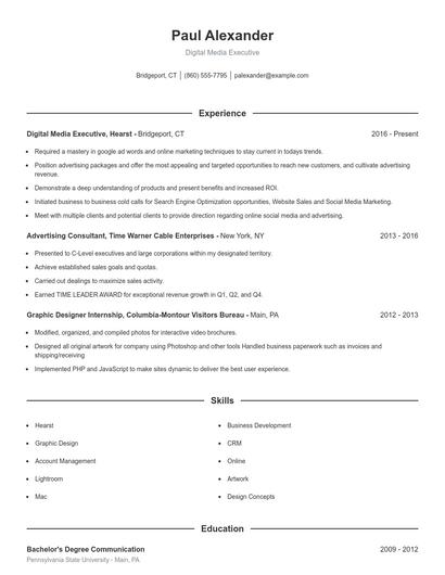 Digital Media Executive Resume