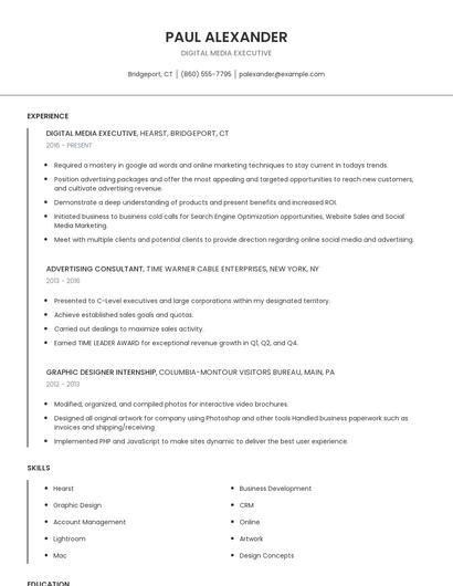 Digital Media Executive Resume