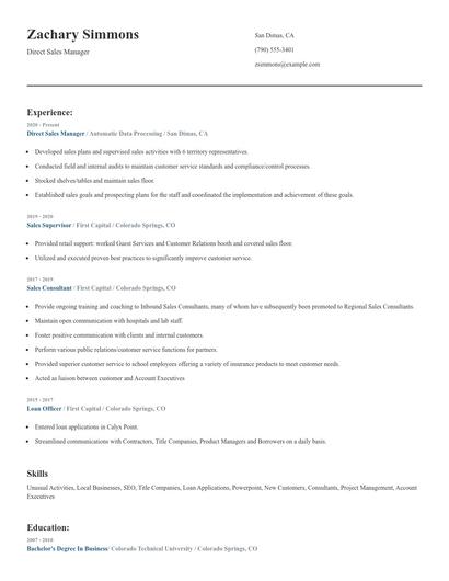 Direct Sales Manager Resume