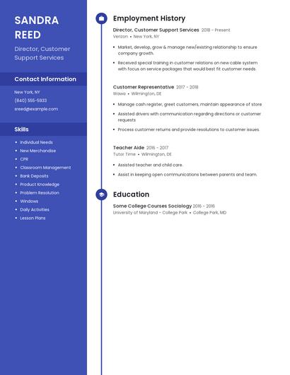 Director, Customer Support Services Resume