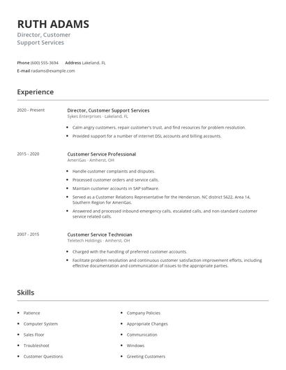 Director, Customer Support Services Resume