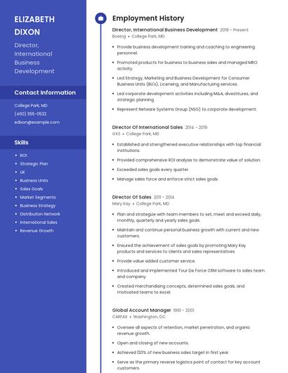 Director, International Business Development Resume