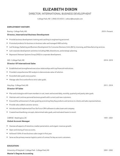 Director, International Business Development Resume
