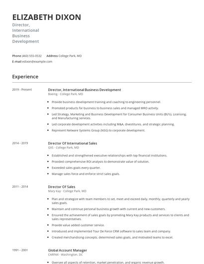 Director, International Business Development Resume