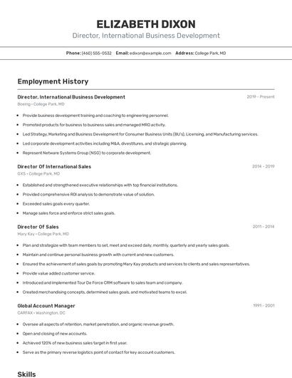 Director, International Business Development Resume