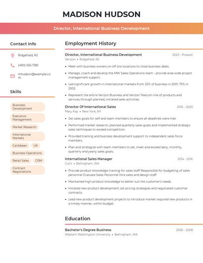 Director, International Business Development Resume