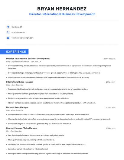Director, International Business Development Resume