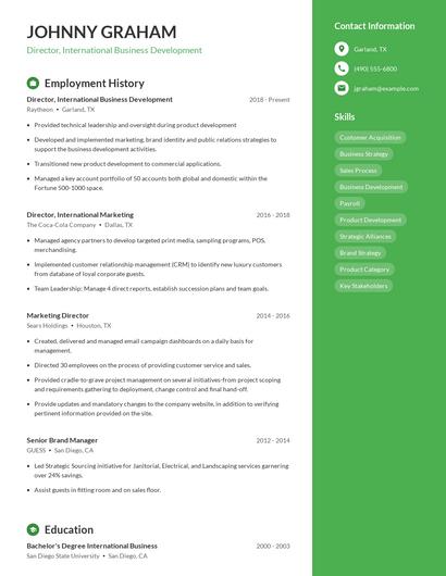 Director, International Business Development Resume