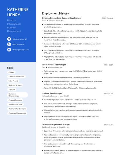 Director, International Business Development Resume