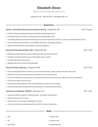 Director, International Business Development Resume