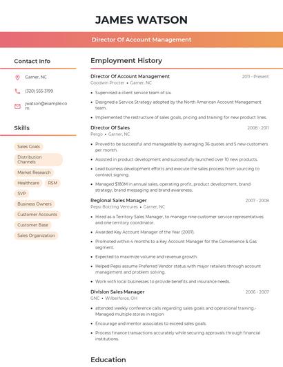 Director Of Account Management Resume