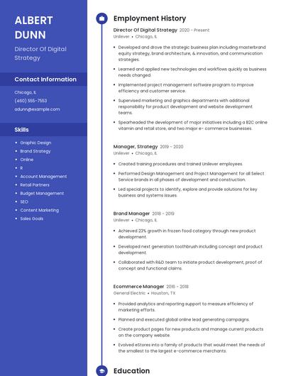 Director Of Digital Strategy Resume