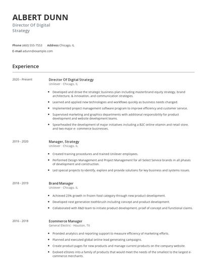 Director Of Digital Strategy Resume