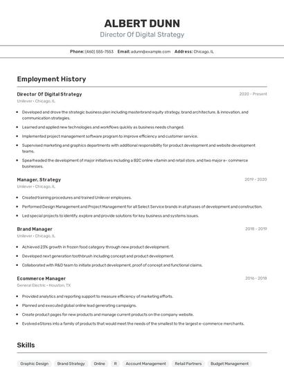 Director Of Digital Strategy Resume