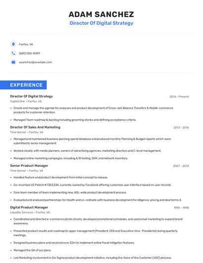 Director Of Digital Strategy Resume
