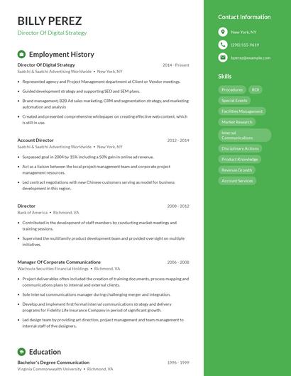 Director Of Digital Strategy Resume