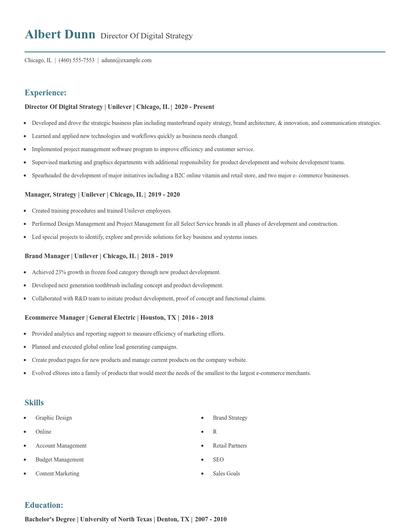 Director Of Digital Strategy Resume