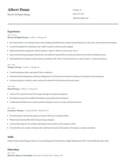 Director Of Digital Strategy Resume