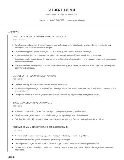 Director Of Digital Strategy Resume