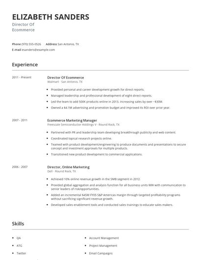 Director Of Ecommerce Resume