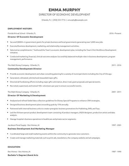 Director Of Economic Development Resume
