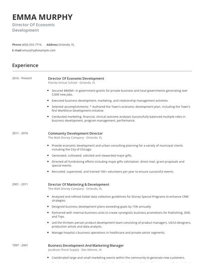 Director Of Economic Development Resume