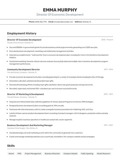 Director Of Economic Development Resume