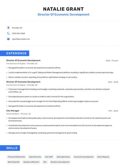 Director Of Economic Development Resume